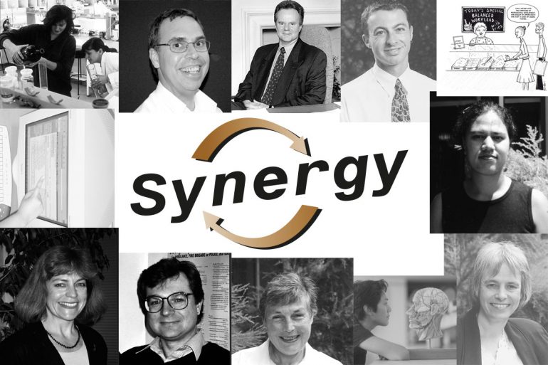 Synergy Pictures