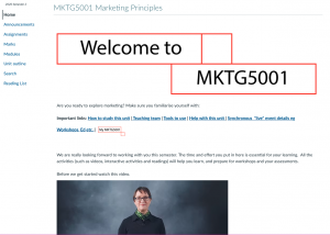 The homepage of MKTG5001