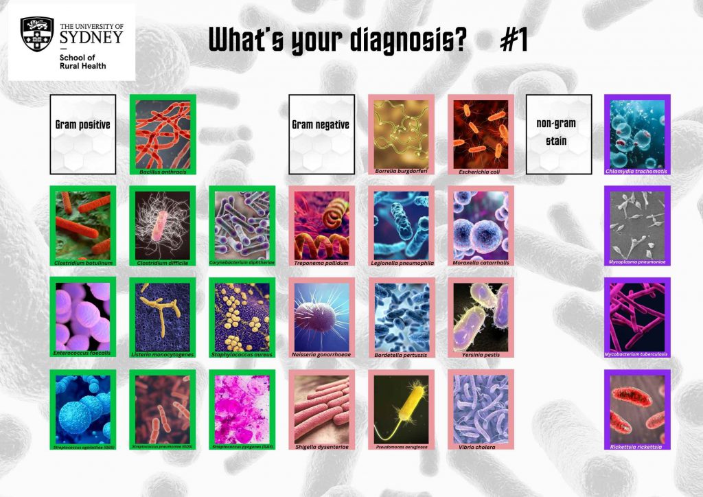 a gameboard showing 25 images of identified bacteria