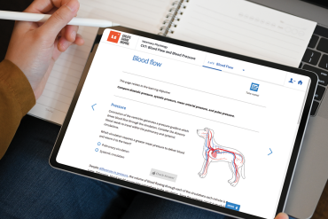 Close up image of an iPad held in one hand while the other hand uses a stylus on it. The iPad screen shows an image from the platform Lt with a diagram of a dog and its circulatory system and some annotations.