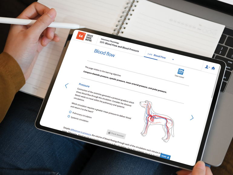 Close up image of an iPad held in one hand while the other hand uses a stylus on it. The iPad screen shows an image from the platform Lt with a diagram of a dog and its circulatory system and some annotations.
