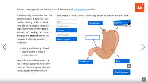 Educational screenshot showing a lesson on the functions of the stomach in monogastric animals and an interactive labeling activity. On the left, text explains that the stomach stores food, mixes and churns it, and begins protein digestion. On the right, a diagram of a dog’s stomach is labeled with blue tags including Oesophagus, Fundus, Body, and Duodenum, with one blank label box for another part. A word bank lists Body, Duodenum, Fundus, Oesophagus, and Pyloric region, and a Check Answer button appears below.