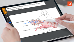 A person uses a stylus on a tablet displaying an interactive veterinary anatomy diagram of a dog’s head in cross-section. The instruction at the top says to draw the passage of airflow through the nasal and oral cavities during panting. The diagram labels the nasal turbinate bones, hard palate, tongue (humid), larynx, and trachea, with blue and red arrows showing airflow paths. An annotation toolbar appears along the left side of the screen.